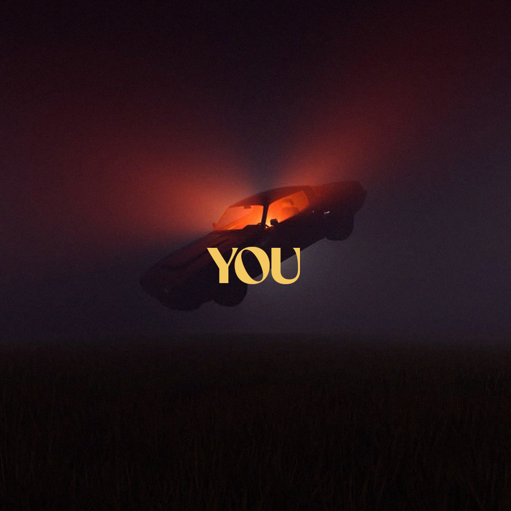 You (House)